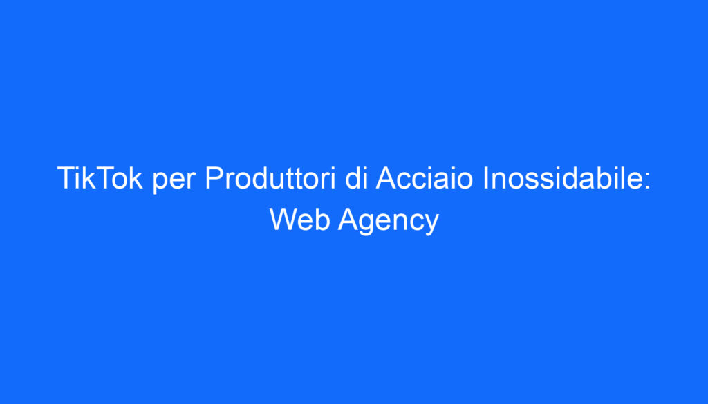 TikTok per Produttori di Acciaio Inossidabile: Web Agency