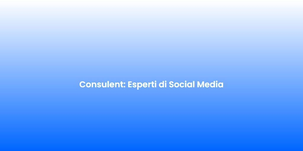 Consulent Esperti di Social Media