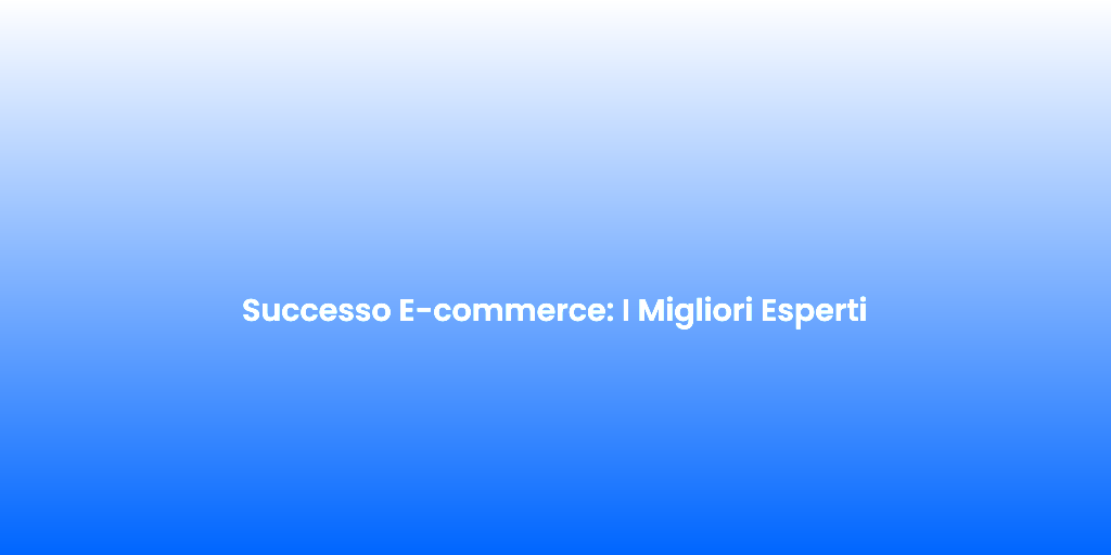 Successo E commerce I Migliori Esperti