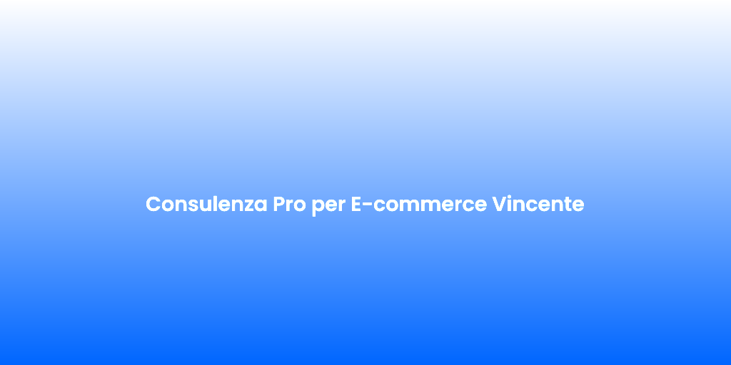 Consulenza Pro per E commerce Vincente 1