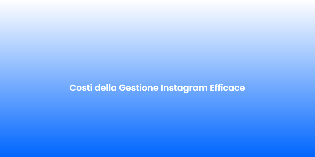 Costi della Gestione Instagram Efficace 1