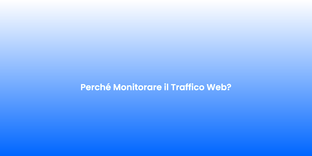 Perche Monitorare il Traffico Web 2