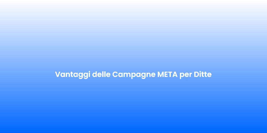 Vantaggi delle Campagne META per Ditte